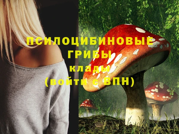 ешки Ахтубинск