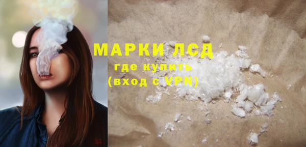 эйфоретик Ельня