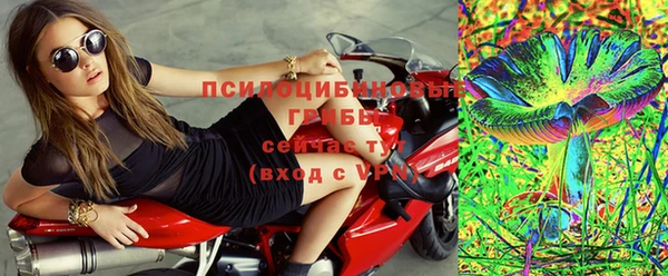эйфоретик Ельня
