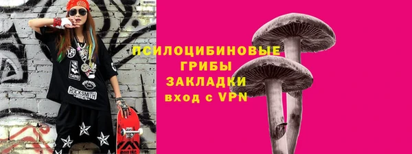 бутират Елабуга