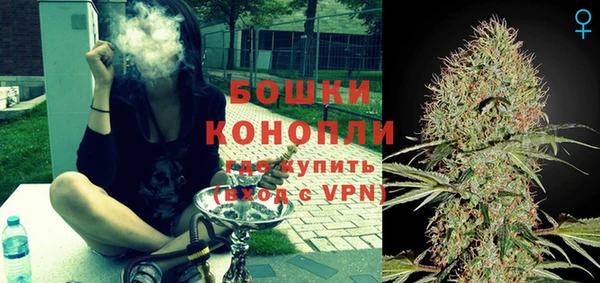 эйфоретик Ельня