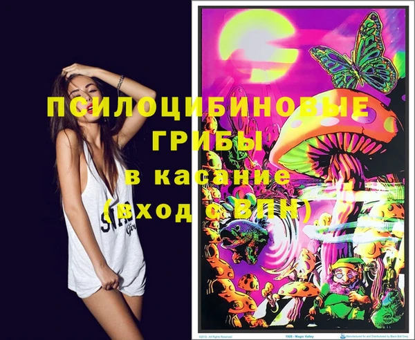 эйфоретик Ельня
