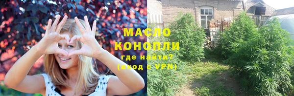 эйфоретик Ельня