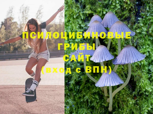 эйфоретик Ельня