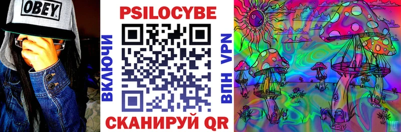 Галлюциногенные грибы прущие грибы  где найти   Каменск-Шахтинский 